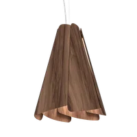 Nogueira