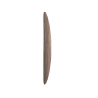 Nogueira