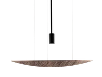 Nogueira