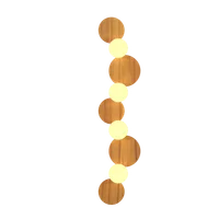 Teca