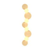 Maple
