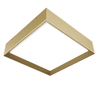 Maple