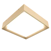 Maple