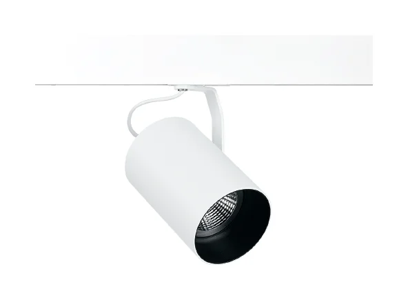 Trace Spot Flow PAR30 CDMR - STL22455
